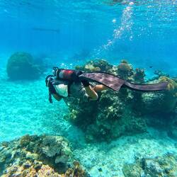 Erste Tauchversuche 🤿