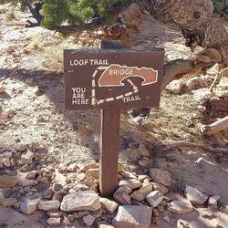 Sieht einfach aus, rechts rum, drunter durch und zurück.