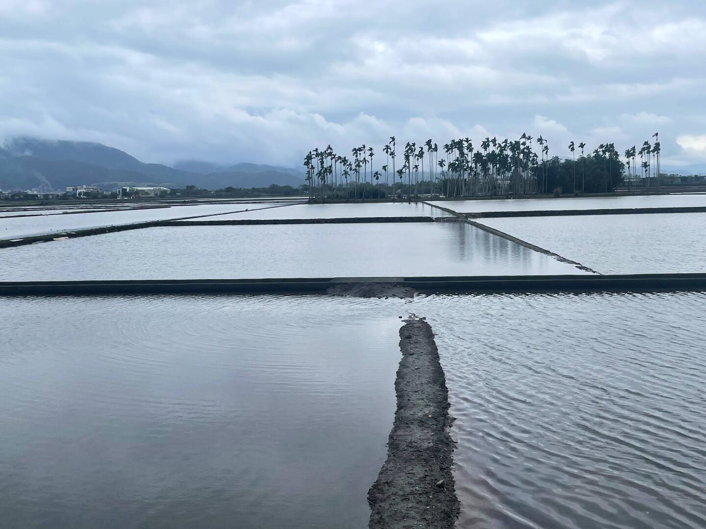 im Frühjahr sind die Reisfelder wahrscheinlich schön üppig grün