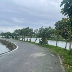 schöne Radwege durch die verwaisten Reisfelder