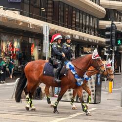 Polizei im Weihnachtsmodus🎅
