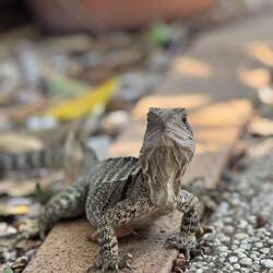 Jonny isch dr ganz Mittag bi üs gsi