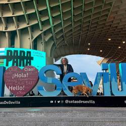 Sous le Métropol Parasol