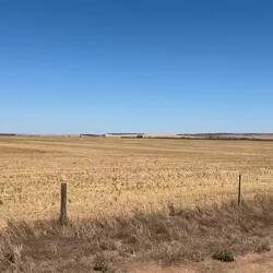 Endlose Getreidefelder