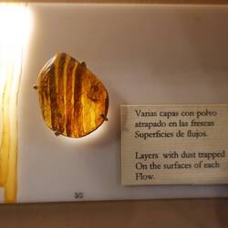 Im Bernsteinmuseum gibt es allerlei kurioses