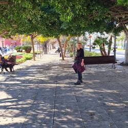 Und ein Bäumehimmel