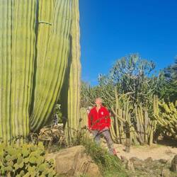Es gibt noch größeres als mich. Die Kakteen sind bestimmt über 2 Meter