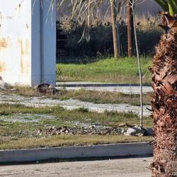 Wer findet die Zwei?