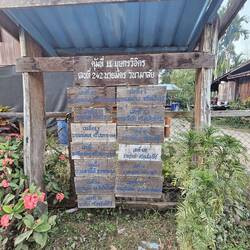 hier steht, wer in diesem Haus lebt bzw. schon gelebt hat