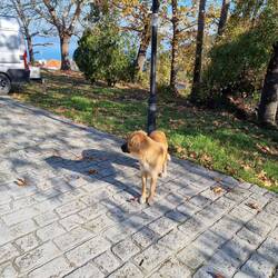 Darf ich euch etwas begleiten?