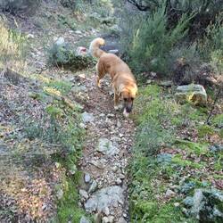 Phu, das ist ganz schön anstrengend. Ich bleib doch lieber hier.