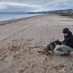 Da hat jemand fleissig gebuddelt und gefunden.