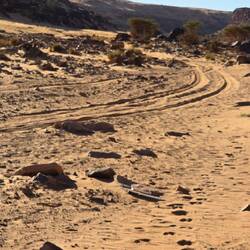 Sandy track leading into the canyon