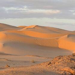 Endless beautiful sand dunes