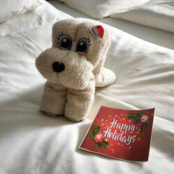 Ein Weihnachtsgeschenk.