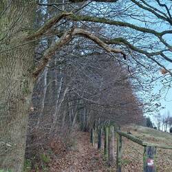 Immer wieder tolle Pfade.