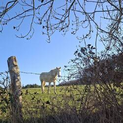 Er oder Sie lässt mich nicht aus den Augen.