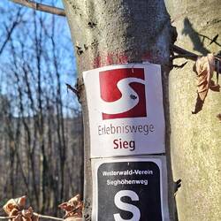 Der Sieghöhenweg existiert noch!