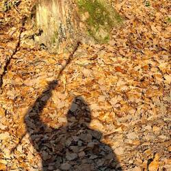 Ein prähistorischer Jäger?