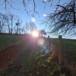 Wer steil hinauf geht....