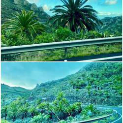 Mit dem Bus zum Hotel - erste Eindrücke von der Insel