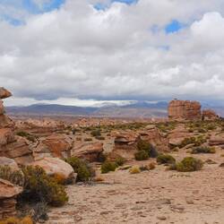 Im Hintergrund schneebedeckte Gipfel der Anden
