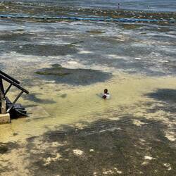 Komplett Ebbe, man könnte zum anderen Ufer laufen