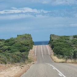 Love the way the trees are trimmed