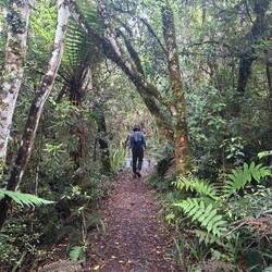 Hälfe dr wäg schlammfrei phalte