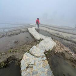 Wir können einen Spaziergang wagen