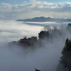 Langsam werden Konturen sichtbar