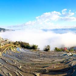 Leider blieb uns der Blick auf die unteren Terrassen aufgrund der Nebelschwaden verwehrt