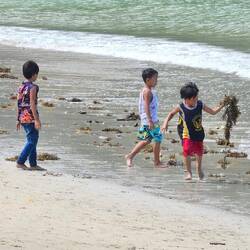 Die Kinder haben die volle Freude das Seegras zu sammeln.