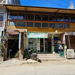 So sehen die Gasen aus.