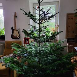 Unser Weihnachtsbaum, der Christbaumschmuck ist nicht auffindbar.