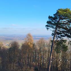 Blick auf die Rheinebene.