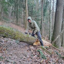 Wollis Lieblingssport 😉