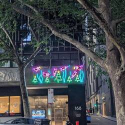 Six Platypuses Paddling