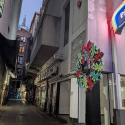 Eleven Lizards Leaping