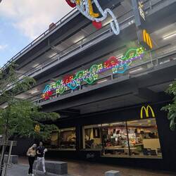 Twelve Possums Playing