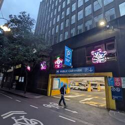 Eight Koalas Cuddling