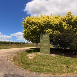 Zufahrt zur Winery🍇🍷