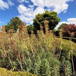 Vegetation da echt schön