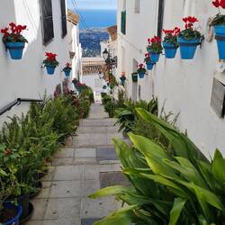 Und in allen Gassen Blumentöpfe