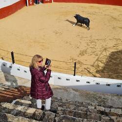 Und jetzt schon in der Stierkampfarena