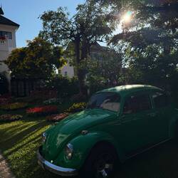 Im Vorgarten eines Hotels