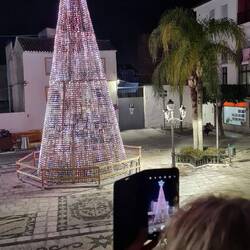 in verschiedenen Farben