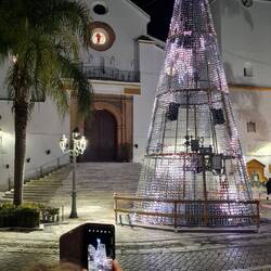 und Moni fotografiert immer noch unechte Christbäume