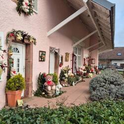 Hier steppt zur Weihnachtszeit der Bär😊