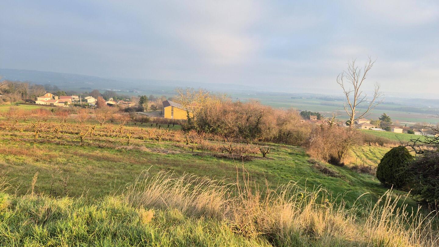 🚶‍♂️🐕🚶‍♀️